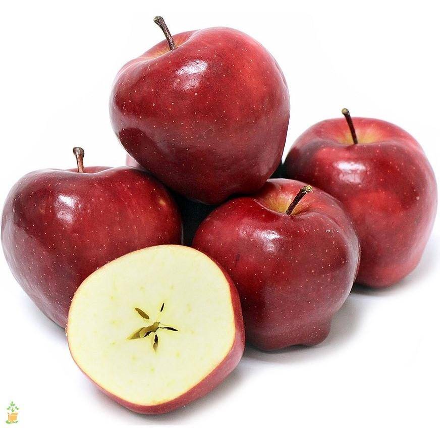Apple swiss discount