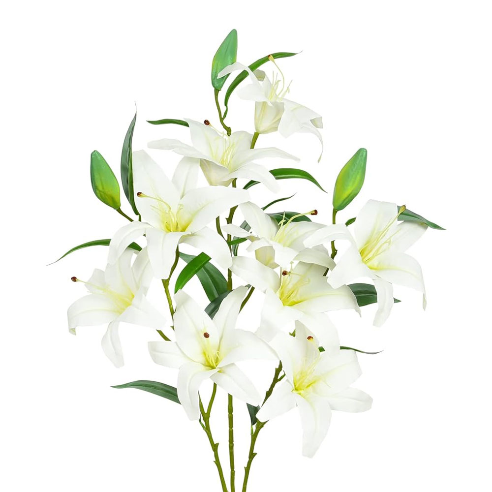 3 sticks fresh oriental Lily Farmerica