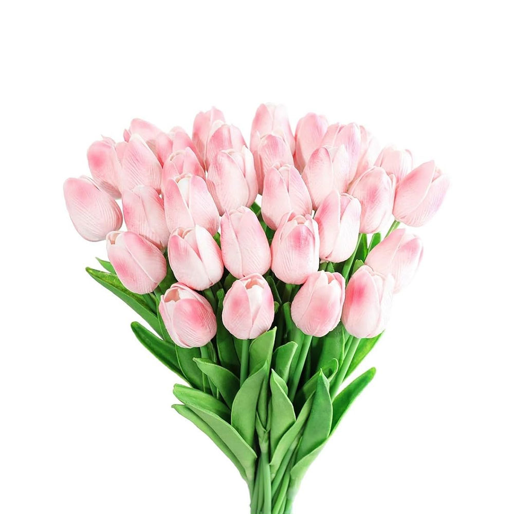 10 Stick Baby Pink Tulip Farmerica
